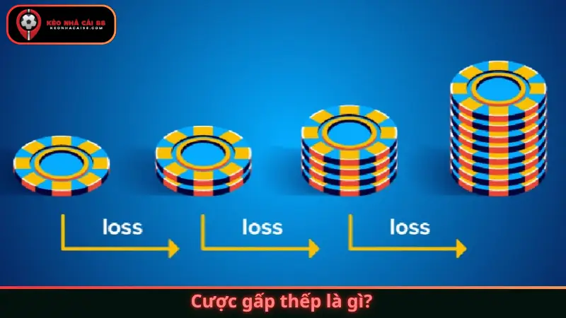 Cược gấp thếp là gì?