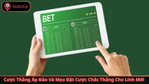 Cược Thắng Áp Đảo - Mẹo Đặt Cược Chắc Thắng Cho Lính Mới 