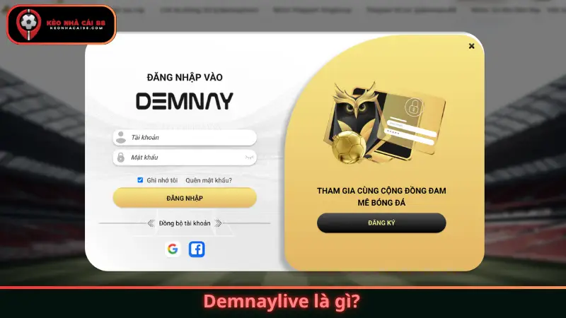 Demnaylive là gì?