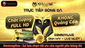 Demnaylive - Sự Lựa Chọn Tối Ưu Của Người Yêu Bóng Đá