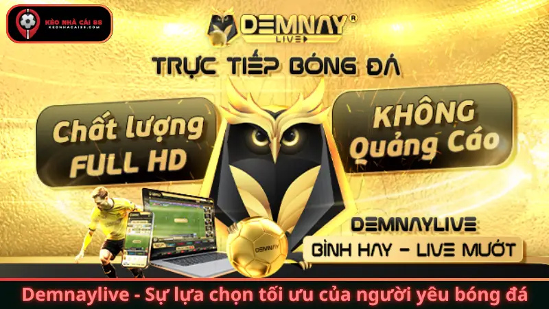 Demnaylive - Sự Lựa Chọn Tối Ưu Của Người Yêu Bóng Đá