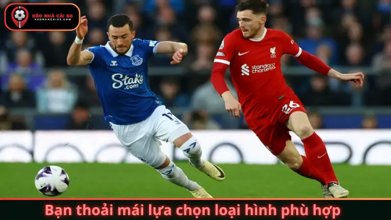 Bạn thoải mái lựa chọn loại hình phù hợp với khả năng