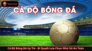 Cá Độ Bóng Đá Uy Tín - Bí Quyết Lựa Chọn Nhà Cái An Toàn 