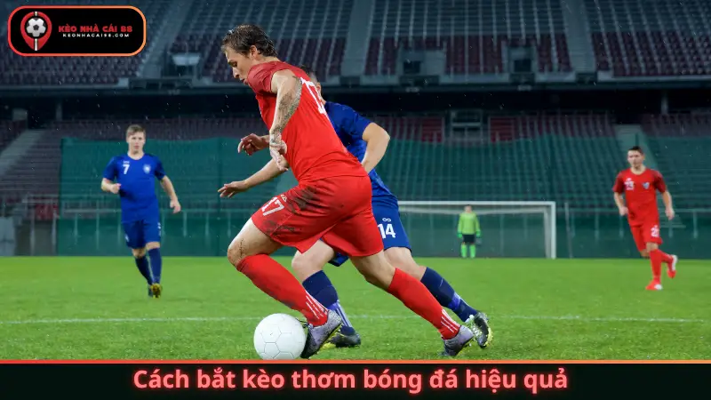 Cách bắt kèo thơm bóng đá hiệu quả – Bí quyết từ Keonhacai 88