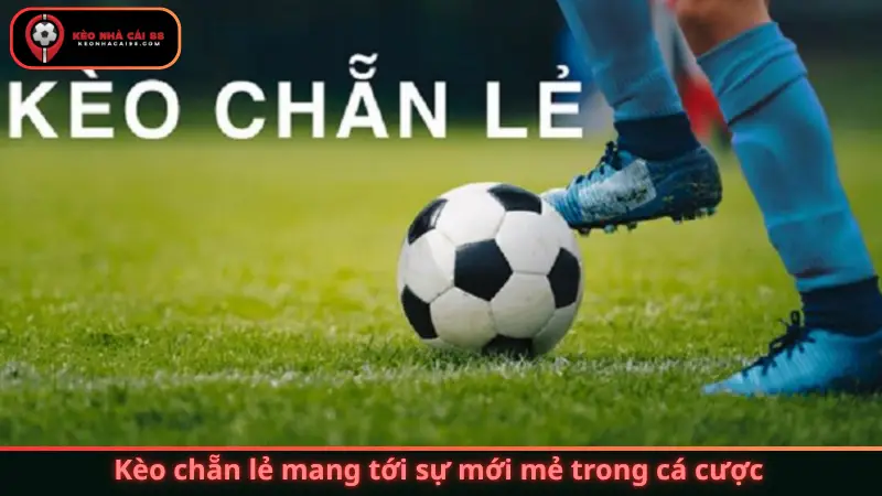 Kèo chẵn lẻ mang tới sự mới mẻ trong cá cược