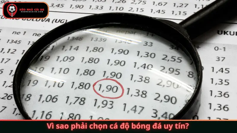Vì sao phải chọn cá độ bóng đá uy tín?