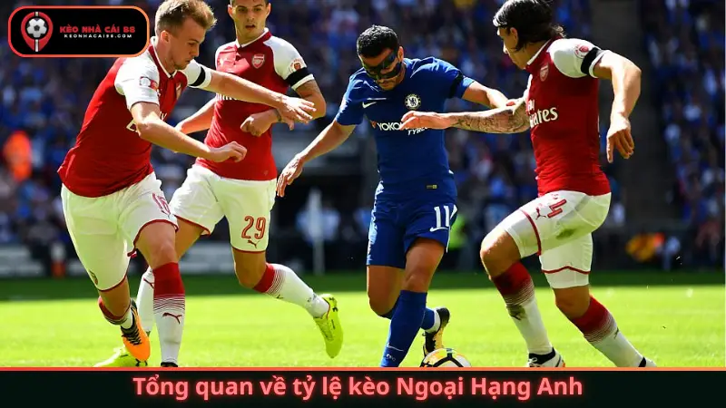 Tổng quan về tỷ lệ kèo Ngoại Hạng Anh