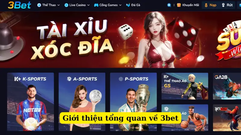 Giới thiệu tổng quan về 3bet