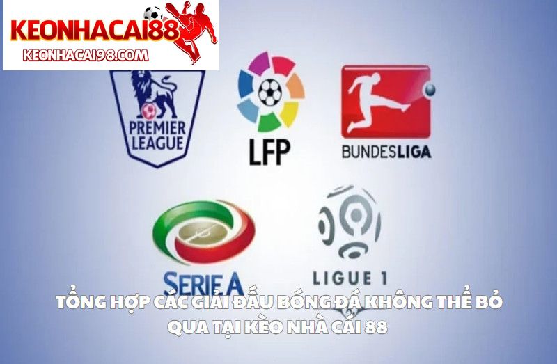 Tổng Hợp Các Giải Đấu Bóng Đá Không Thể Bỏ Qua Tại Kèo Nhà Cái 88