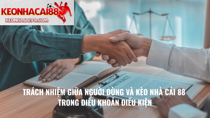 Trách Nhiệm Giữa Người Dùng Và Kèo Nhà Cái 88 Trong Điều Khoản Điều Kiện