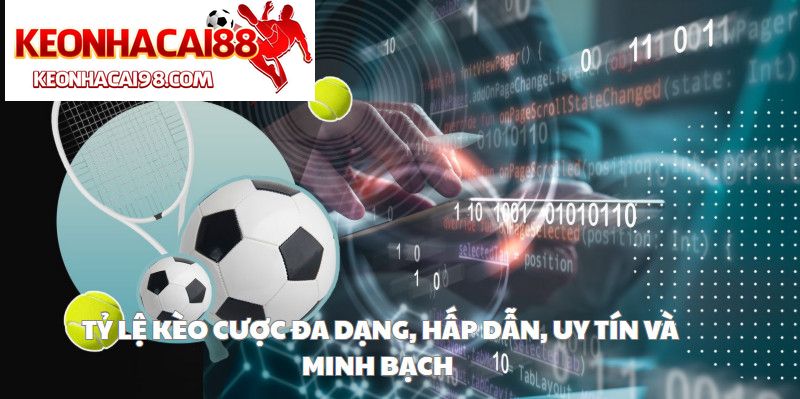 Tỷ Lệ Kèo Cược Đa Dạng, Hấp Dẫn, Uy Tín Và Minh Bạch