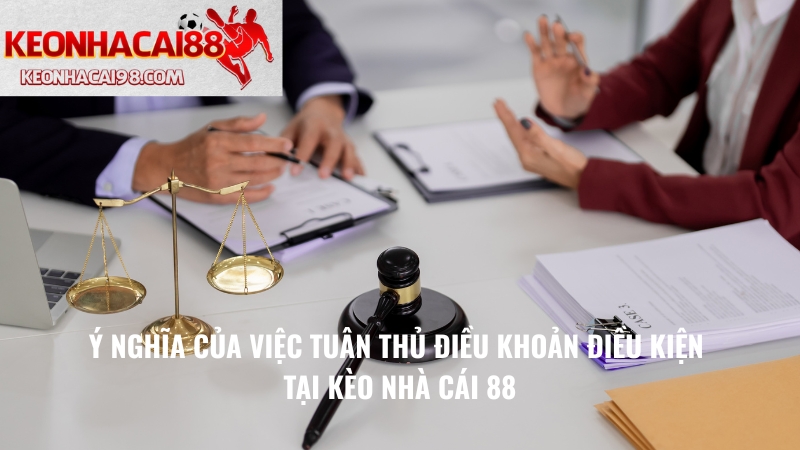 Ý Nghĩa Của Việc Tuân Thủ Điều Khoản Điều Kiện Tại Kèo Nhà Cái 88